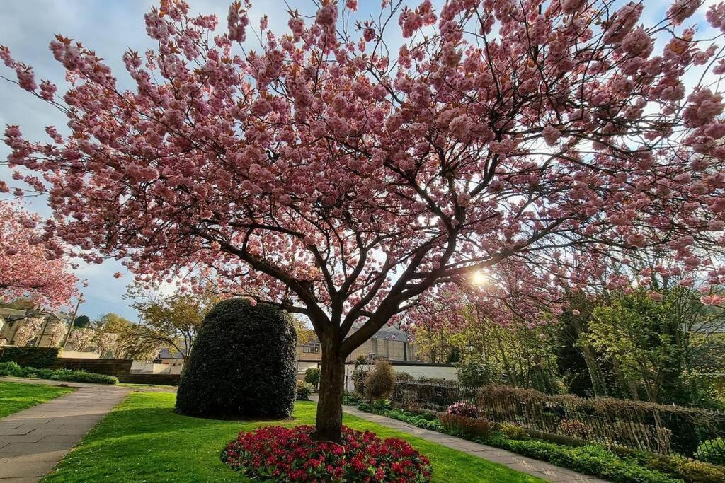 Crystal Cottage - 5 Min Walk From Holmfirth Town Centre 外观 照片